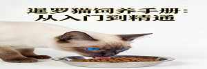 暹罗猫饲养手册：从入门到精通