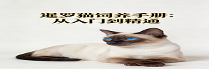 暹罗猫标题.png 暹罗猫标题.png