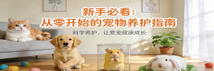 新手必看：从零开始的宠物养护指南